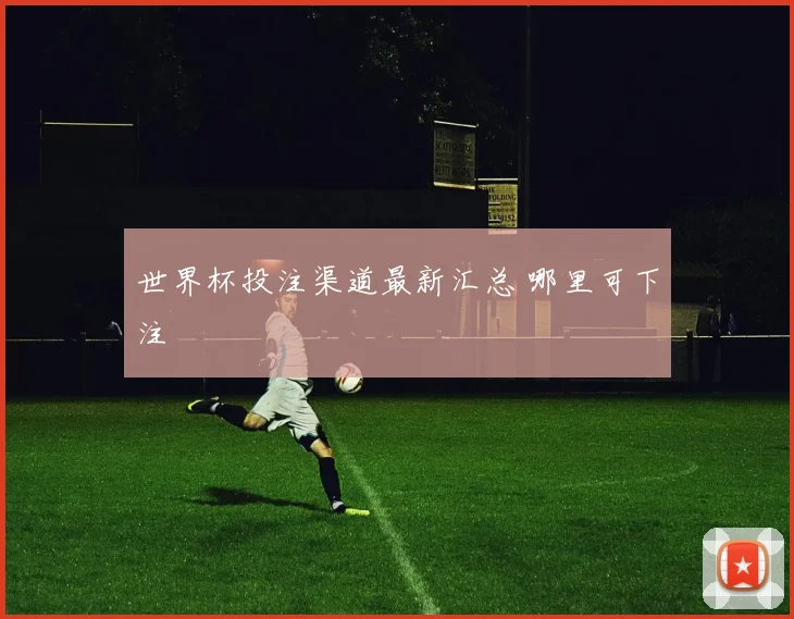 世界杯投注渠道最新汇总 哪里可下注