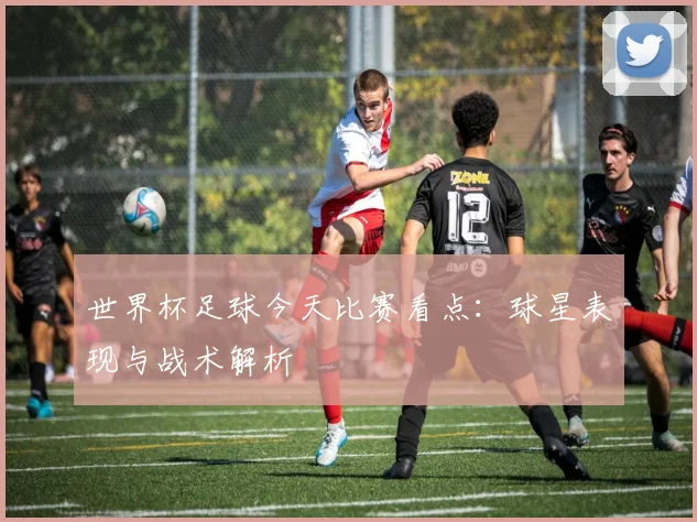 世界杯足球今天比赛看点：球星表现与战术解析