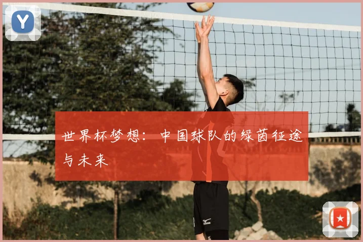 世界杯梦想：中国球队的绿茵征途与未来