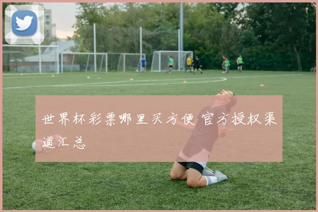 世界杯彩票哪里买方便 官方授权渠道汇总