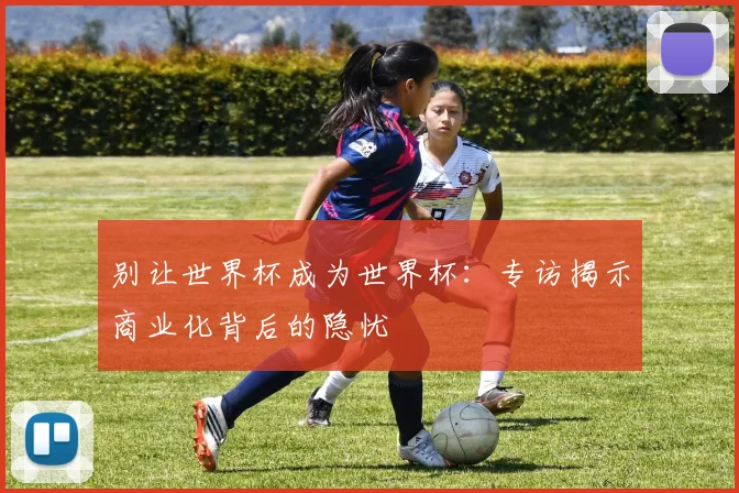 别让世界杯成为世界杯：专访揭示商业化背后的隐忧