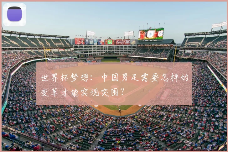 世界杯梦想：中国男足需要怎样的变革才能实现突围？