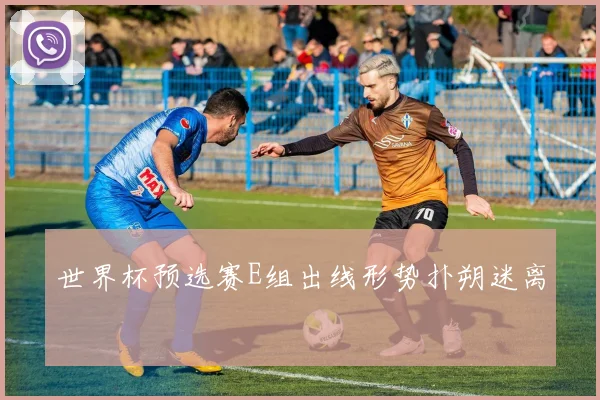 世界杯预选赛E组出线形势扑朔迷离